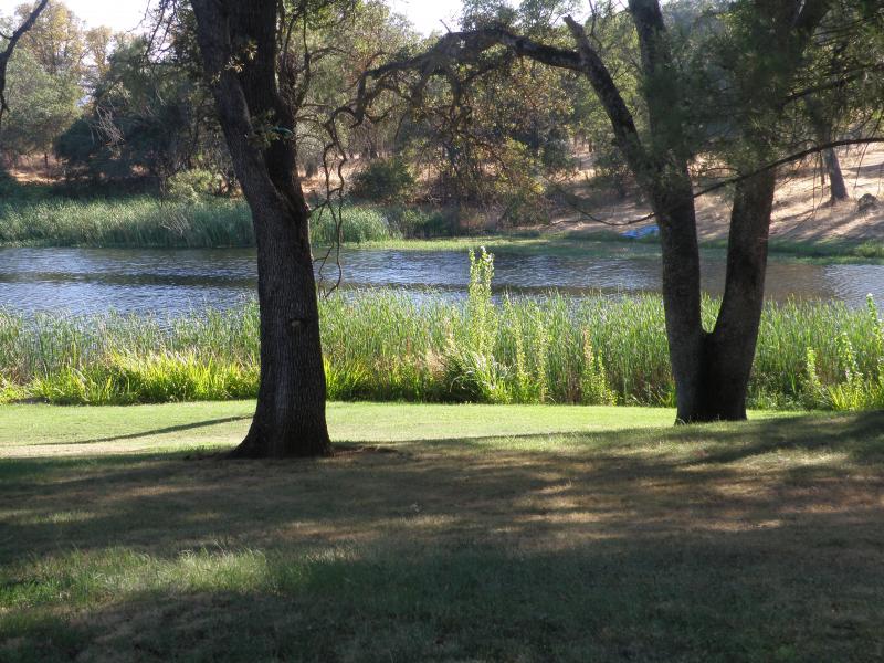 View of the Lake off patio